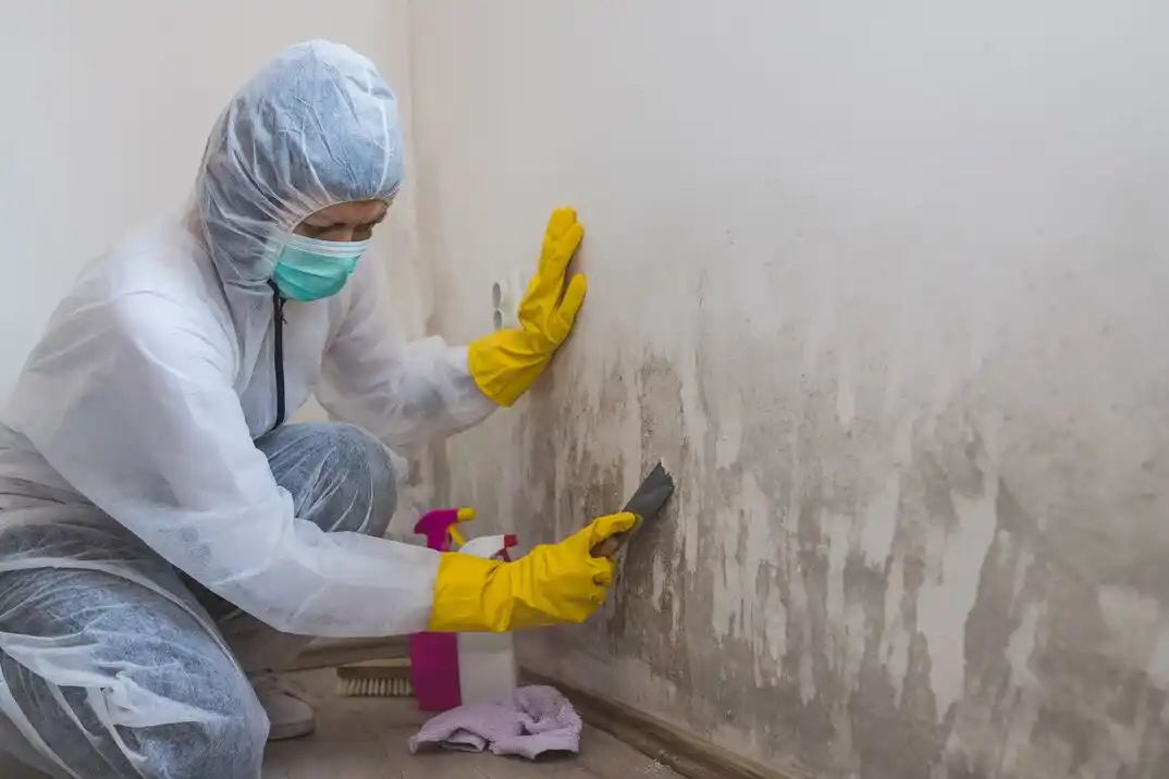 water damage restoration service Outer Gashland